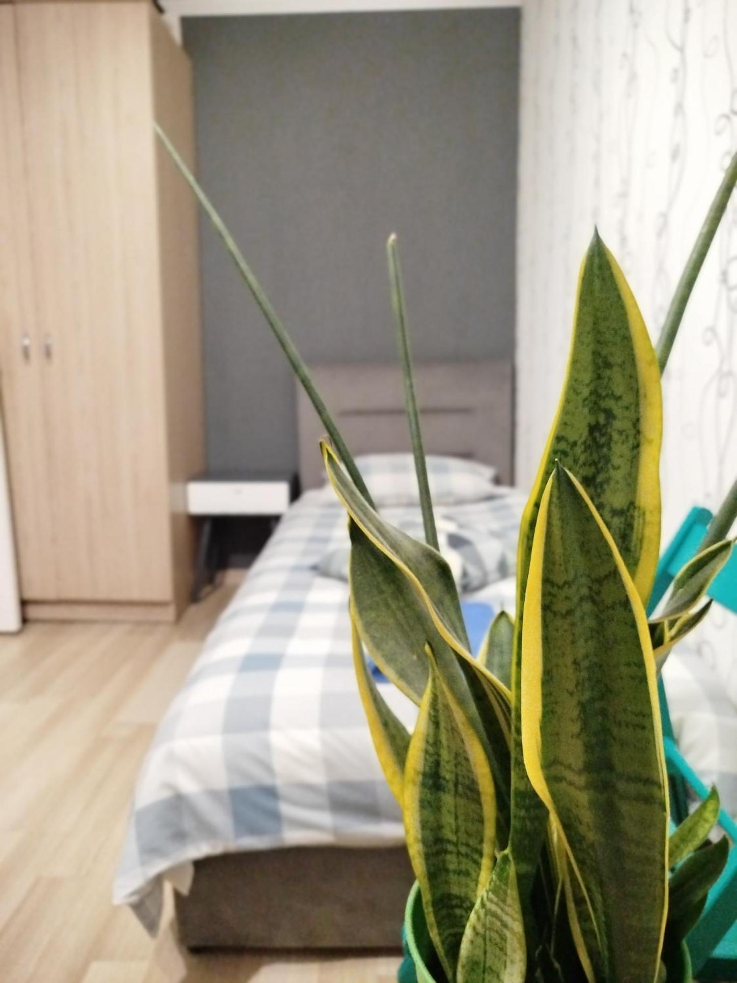Appartamento Elena Rivne Esterno foto